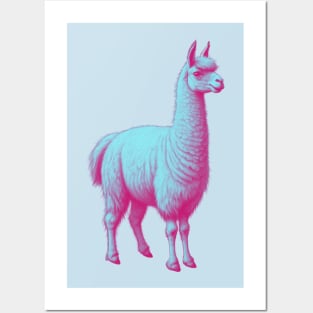 Llama Posters and Art